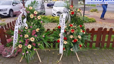 Kwiaciarnia Clivia włocławek